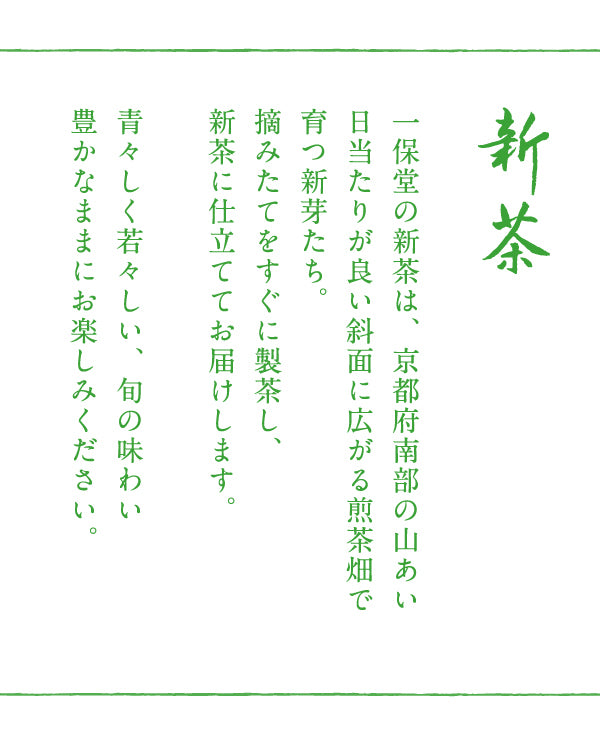 【2026年販売終了】新茶100g袋